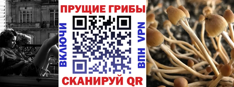 Галлюциногенные грибы мицелий  Няндома 